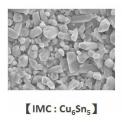 FE-SEM (Scanning electron microscope)掃描式電子顯微鏡